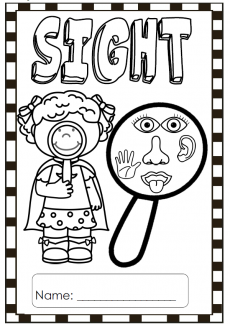 Term 2 – Sight – School Diva