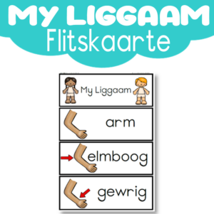 Flitskaarte: My Liggaam