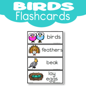 Flashcards: Birds