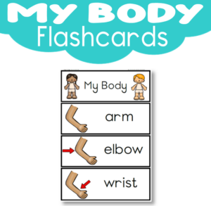 Flashcards: My Body