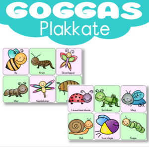 Plakkaat: Insekte/ Goggas