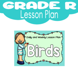 Grade R Lesson Plan: Term 4: Birds