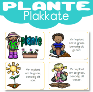 Plakkaat: Plante