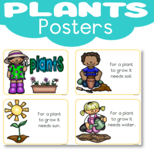 Poster: Plants