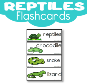 Flashcards: Reptiles