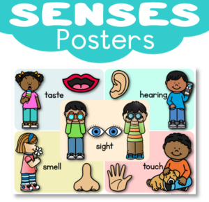 Poster: Senses