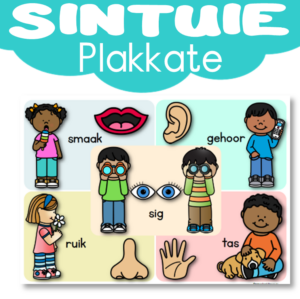 Plakkaat: Sintuie