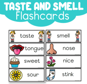 Flashcards: Taste and Smell