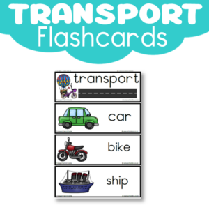 Flashcards: Transport