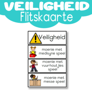 Flitskaarte:  Veiligheid Tuis