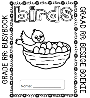 Grade RR Activity Book: Birds