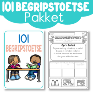 Werkboek: 101 Begripstoetse