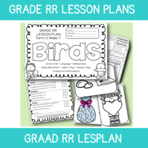 Grade RR Lesson Plan Term 3 Week 7: Birds