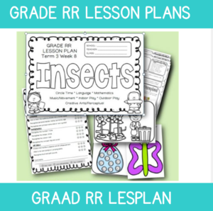 Grade RR Lesson Plan Term 3 Week 8: Insects