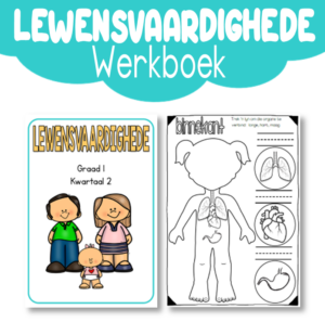 Werkboek: Graad 1 Lewensvaardigheid Kwartaal 2