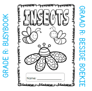 Grade R Activity Book: Insects