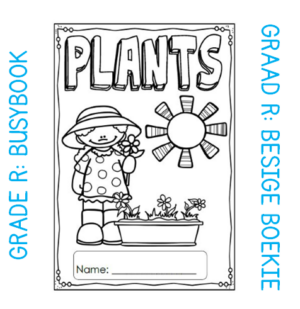 Grade R Activity Book: Plants