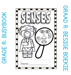 Grade R Activity Book: Senses