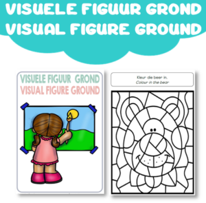 Workbook: Visual Figure-Ground