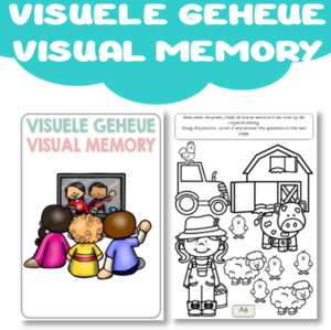 Workbook: Visual Memory