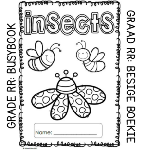 Grade RR Activity Book: Insects