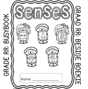 Grade RR Activity Book: Senses