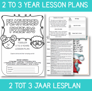 Toddler Lesson Plan: Feathered Friends