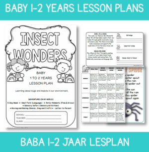 Infant Lesson Plan: Insect Wonders