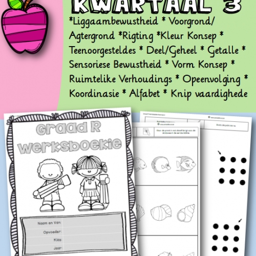 Grade R Workbook Term 3 – School Diva